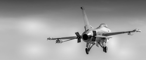 General Dynamics (its aviation unit now part of Lockheed Martin) F-16 