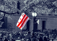 2019.11.02 Washington Nationals Victory Parade, Washington, DC USA 306 61013