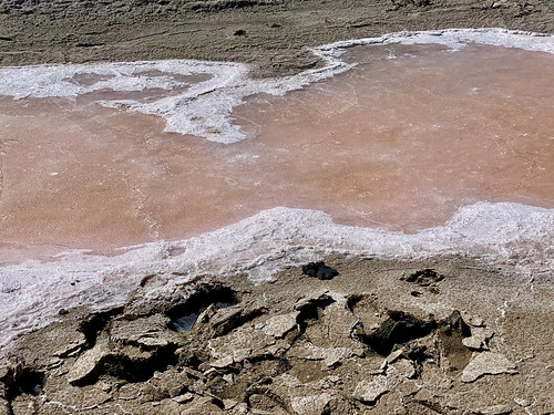 pink salt lake ©  foam