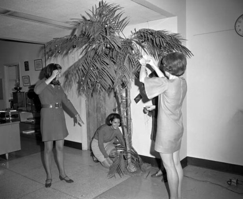 Young women decorating Christmas palm ©  Florida Memory