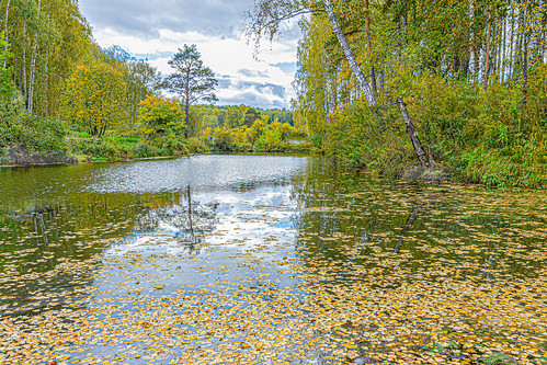 beautiful, though wet and cold September in Siberia ©  Dmitry Karyshev