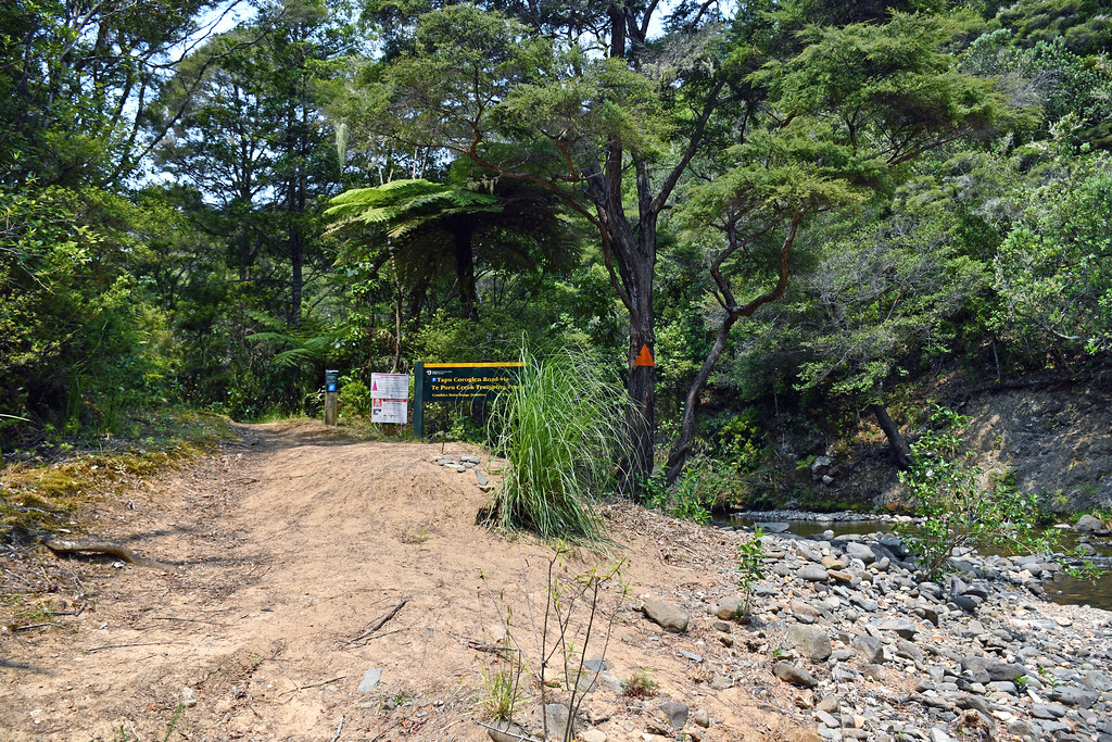 : Entry to Te Puru Track