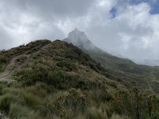 Al Sendero Ruco Pichincha Volcano at 4,331 meters (14,209 ft), Quito, Ecuador.