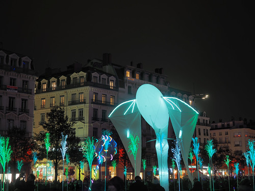 Lyon, La f^ete des lumi`eres, 2019 ©  Dmitry Djouce