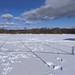 Snowy Ferry St Field
