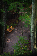 October bench near Lake Michigan