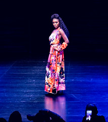2020.01.18 Art of Fashion at Arena Stage, Washington, DC USA 018 234190