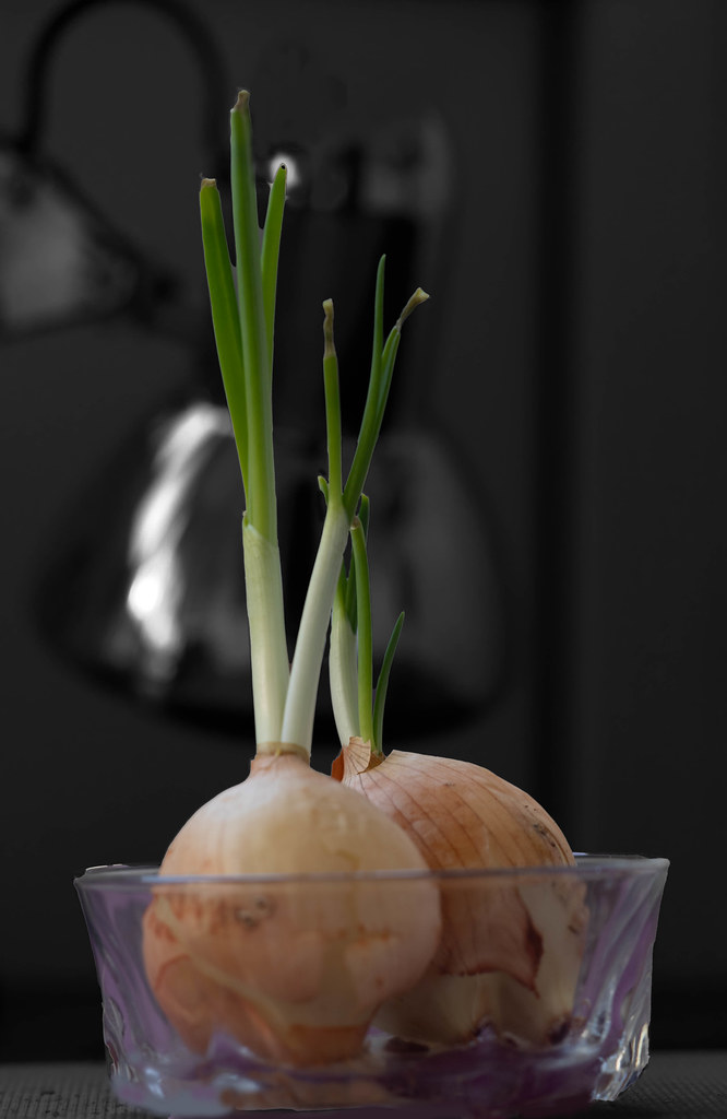 : Onions