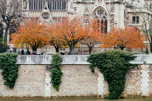 Notre Dame in Autumn