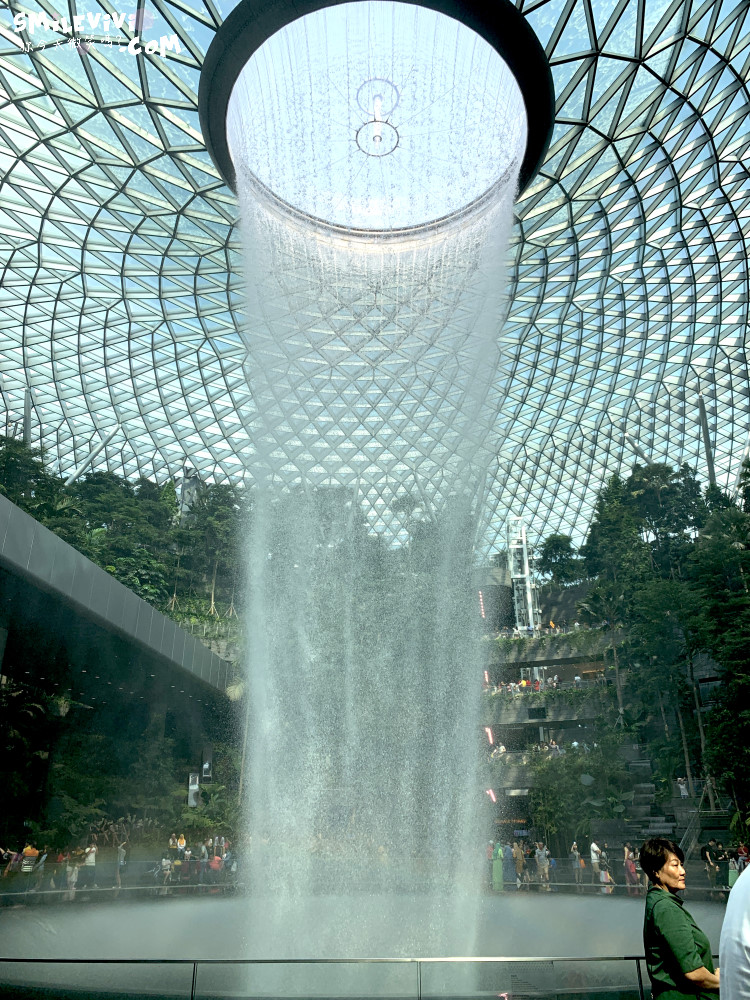 新加坡∥新加坡機場星耀樟宜(Jewel Changi Airport)最美的機場景點、最高室內美麗瀑布 13 49536657296 bf63491301 o