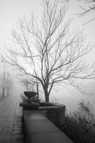 ae.vl.fog.2019 ©  arina.ertman