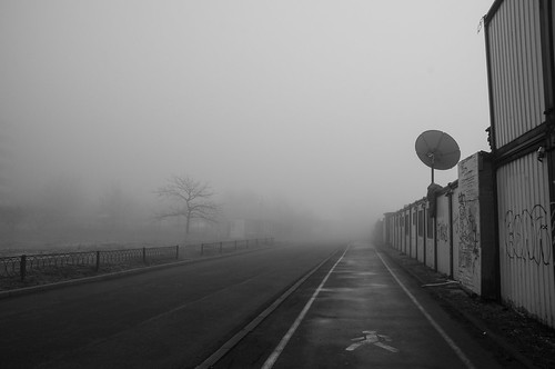 ae.vl.fog.2019 ©  arina.ertman