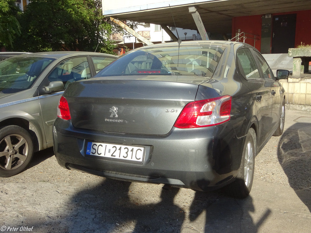 : Peugeot 301