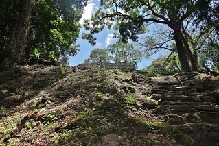 MEXICO, Mayastätte Yaxchilán verborgen im Dschungel , Stufen hinauf zum Haupt-Tempel  (Templo Major) ,   19570/12431
