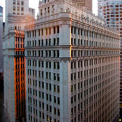 Wrigley Building in sunset