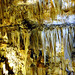 La Grotta di Putignano (o anche Grotta del Trullo)