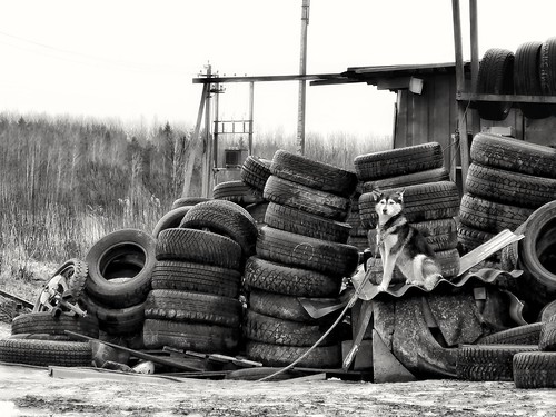 I protect these tires. I at work ©  Sergei F