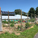 Sunken greenhouse wraps home & feeds suburban antifragile co-op
