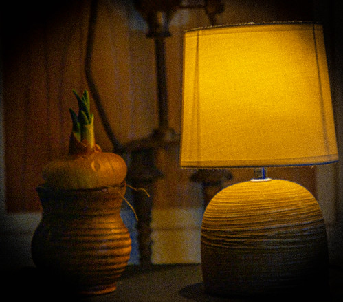 Lamp with Onion ©  Raymond Zoller
