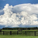Impressive cumulonimbus clouds in central Florida