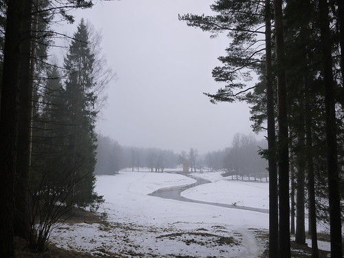 Туманный февральский день в Павловске ©  Liendain