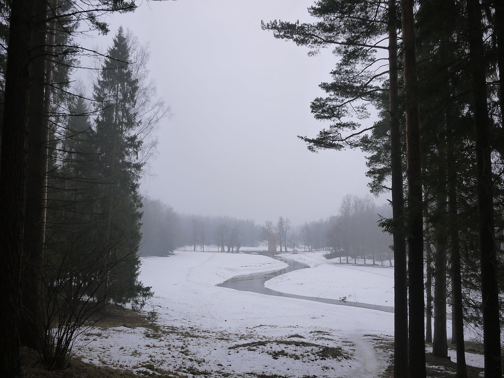 фото: Туманный февральский день в Павловске