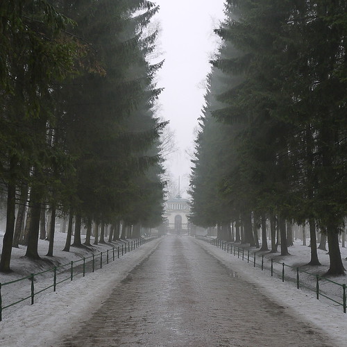 Туманный февральский день в Павловске ©  Liendain