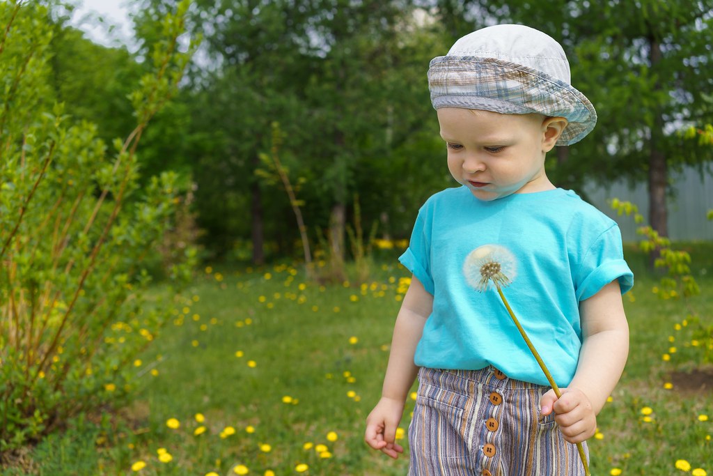 : Little boy with a dandelion in his hand
