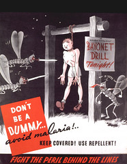 Don't be a dummy-- avoid malaria: keep covered, use repellent!