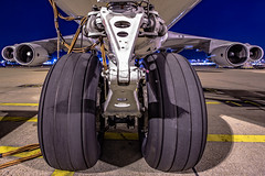 Front gear of a Boeing 747 • <a style="font-size:0.8em;" href="http://www.flickr.com/photos/125767964@N08/50199192857/" target="_blank">View on Flickr</a>