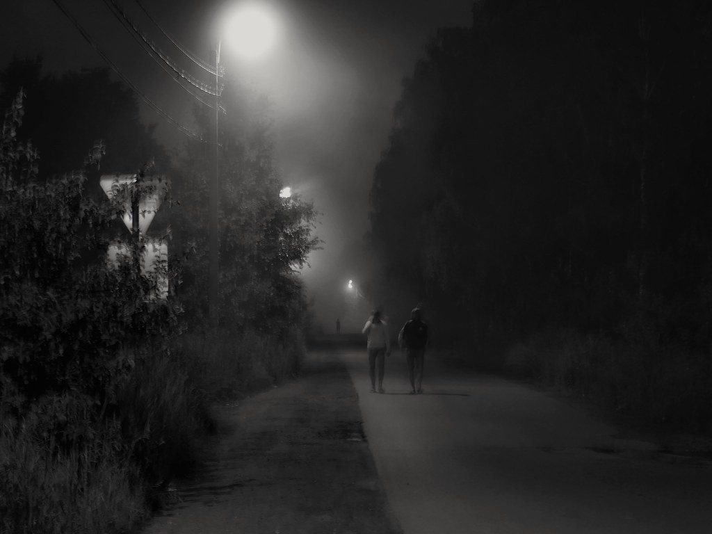: Night. Fog