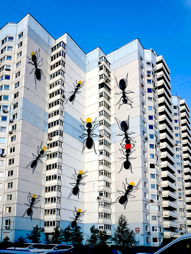 attack of huge ants ©  Sergei F