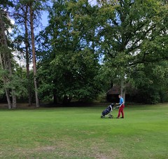 Golfeurs Sur Parcours Fontainebleau 9