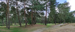 Golfeurs Sur Parcours Fontainebleau 6