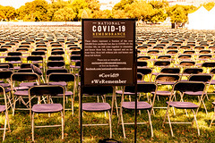 2020.10.04 National COVID-19 Remembrance, Washington, DC USA 278 19030