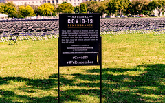 2020.10.04 National COVID-19 Remembrance, Washington, DC USA 278 19027
