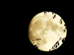 Full Moon will be on October 31st