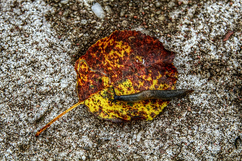 The End Of Autumn-16 ©  Егор Журавлёв