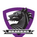 Dragons Gear Head crest with DRAGONS 2 FINAL (1)