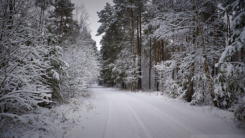 Snowy Road ©  Ivan Narmanev