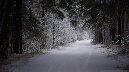 Snowy Road ©  Ivan Narmanev