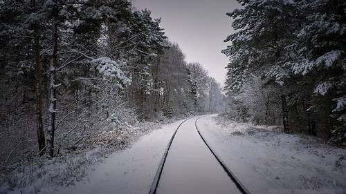 Snowy Rail ©  Ivan Narmanev