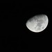 Moon tonight IMG_20201125_01.37.13- am