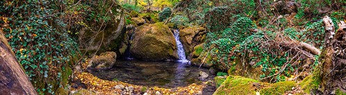 Mountain stream in a reserved autumn forest (Panorama) ©  Alexey Fedenkov
