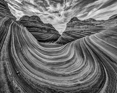 The Wave in Black and White