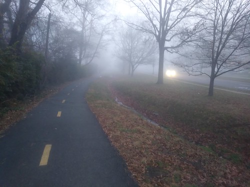 7:22 am fog in Arlington VA ©  Michael Neubert