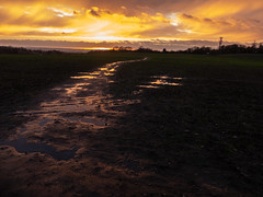 Sunset over a muddy field