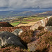 View from Higger Tor (2)
