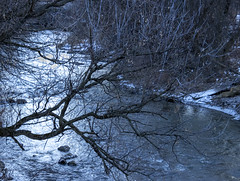 Branch Over Creek