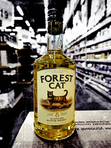 Forest Cat whisky ©  Sergei F